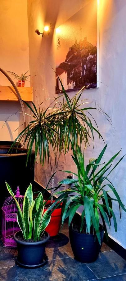 Charme De Monsaraz Villa Eksteriør bilde